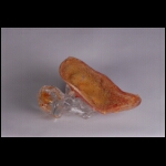 Golden Slipper 6 x 12 x 6 in.jpg